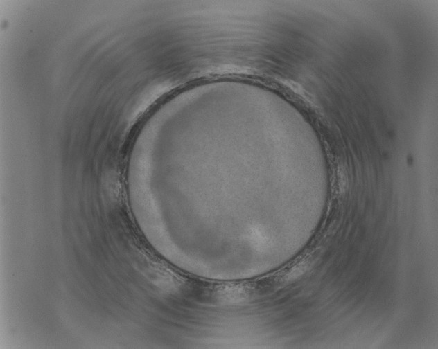 X0000073891266200609082114