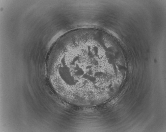 X0000073891267200609082114