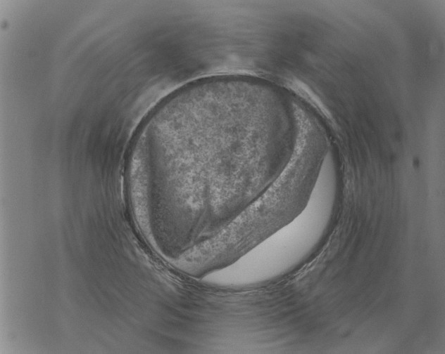 X0000073891268200609082114