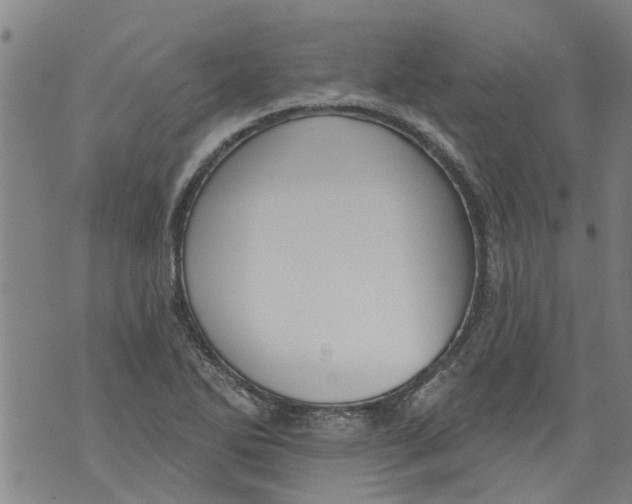 X0000073891270200609082114