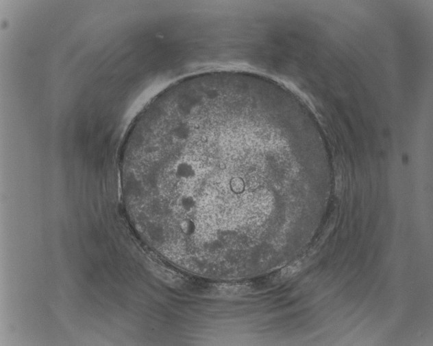 X0000073891271200609082114