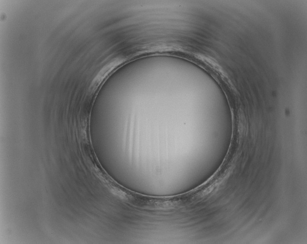 X0000073891273200609082114