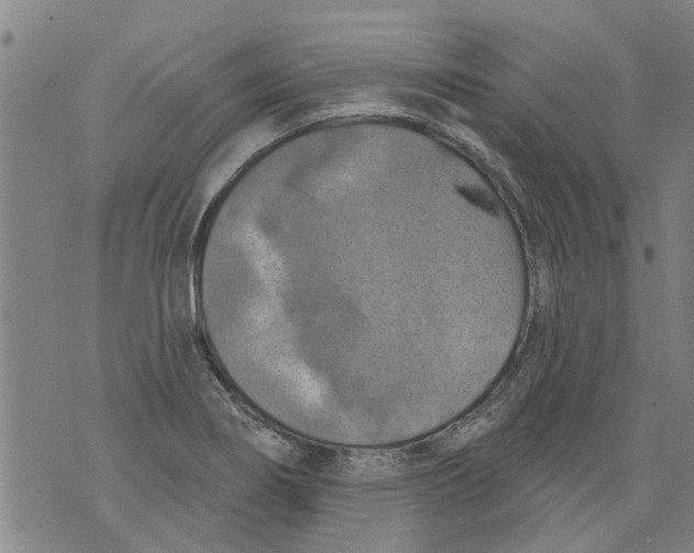 X0000073891274200609082114