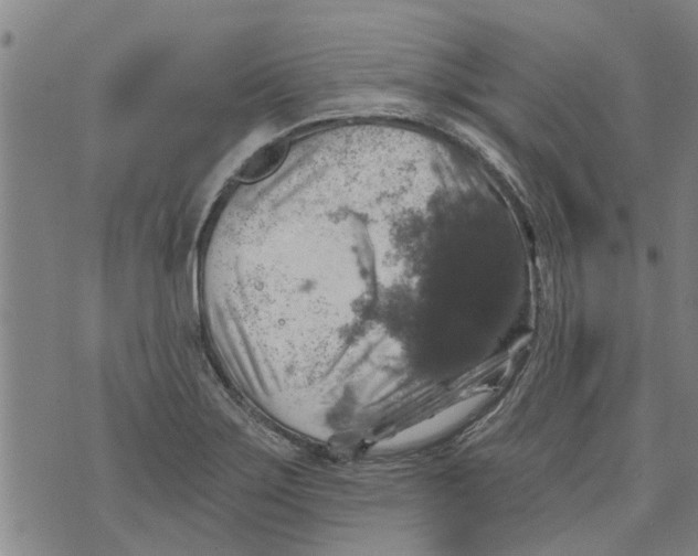 X0000073891275200609082114