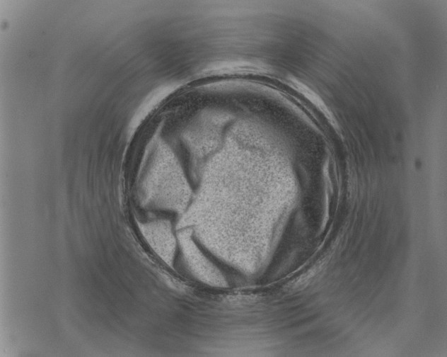 X0000073891277200609082114