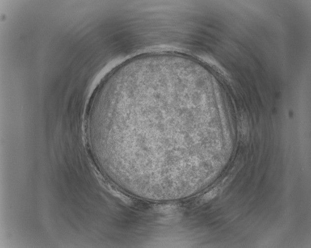 X0000073891278200609082114