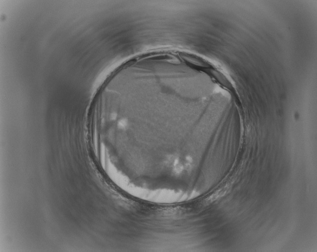 X0000073891279200609082114