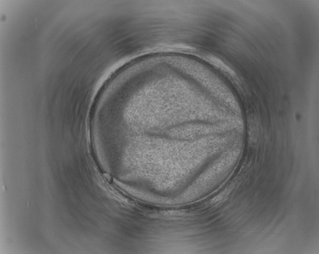 X0000073891280200609082114