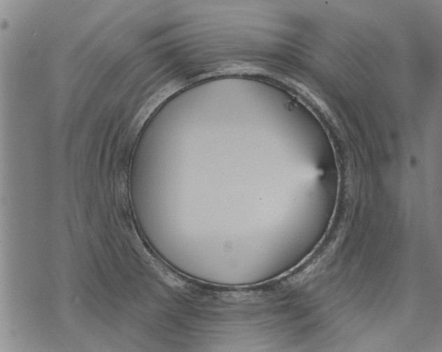 X0000073891281200609082113