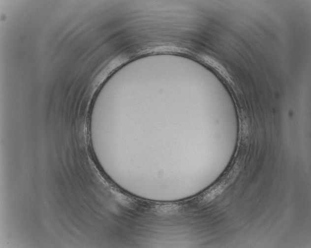 X0000073891282200609082113