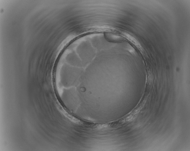 X0000073891283200609082113