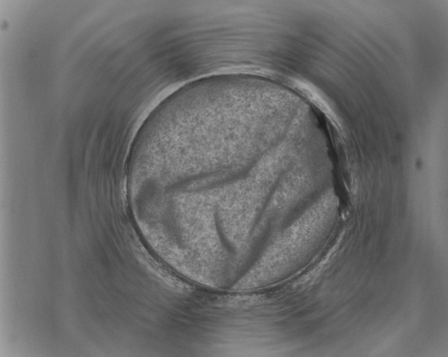 X0000073891284200609082113