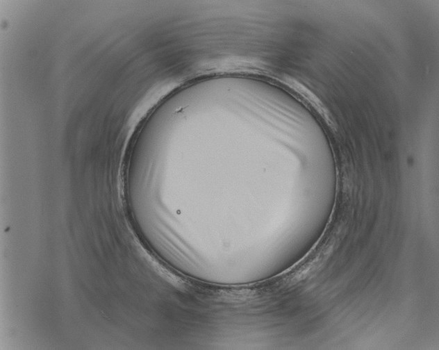 X0000073891285200609082113