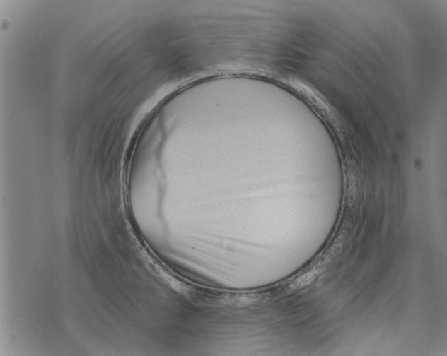 X0000073891286200609082113