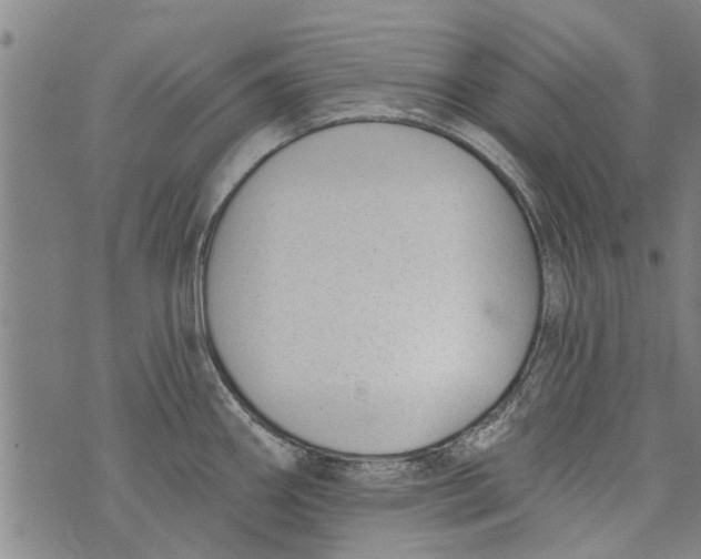 X0000073891290200609082113