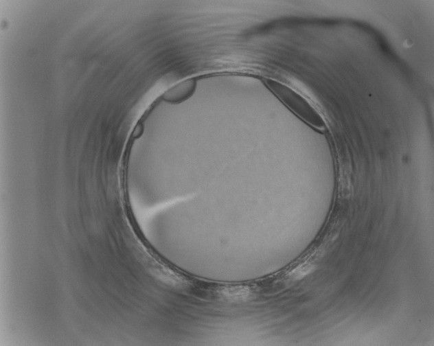 X0000073891291200609082113