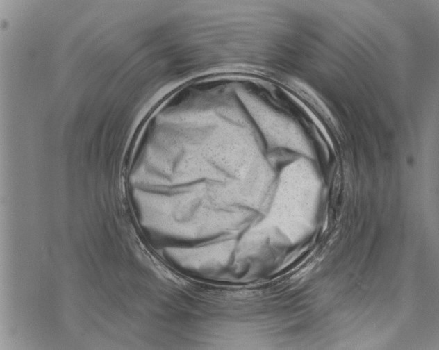 X0000073891292200609082113