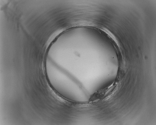 X0000073891293200609082113