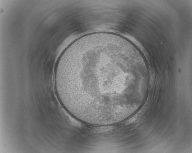 X0000073891294200609082113