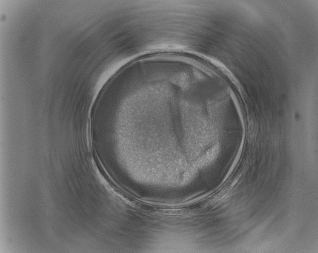 X0000073891295200609082113