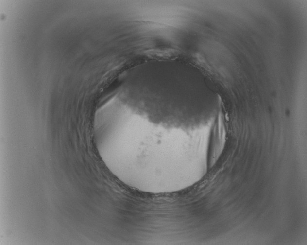 X0000073891297200609082112