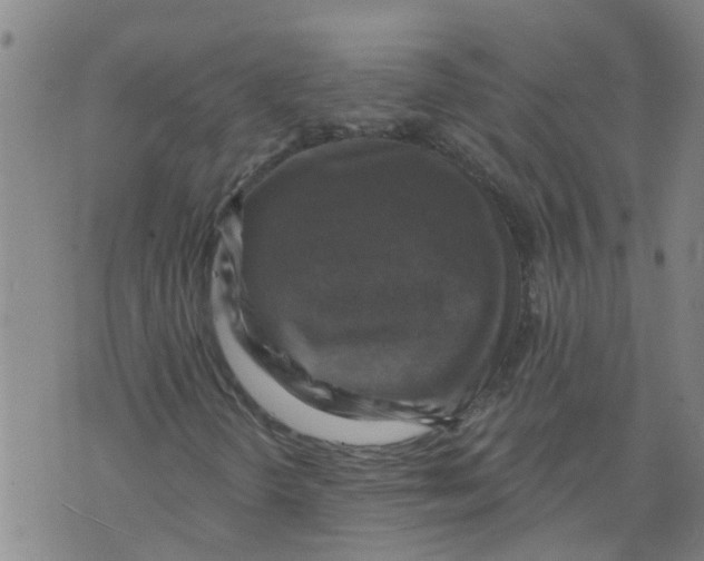 X0000073891298200609082112