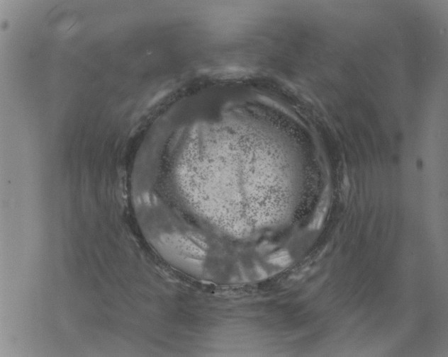 X0000073891301200609082113