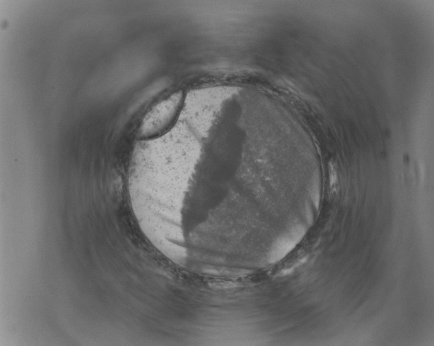 X0000073891302200609082113