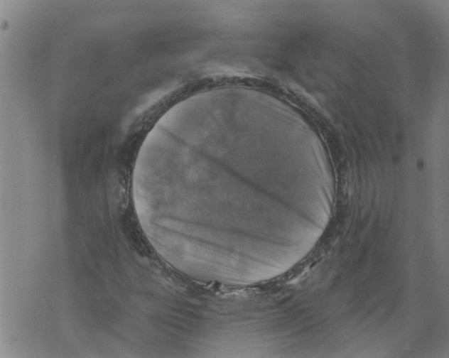 X0000073891303200609082113