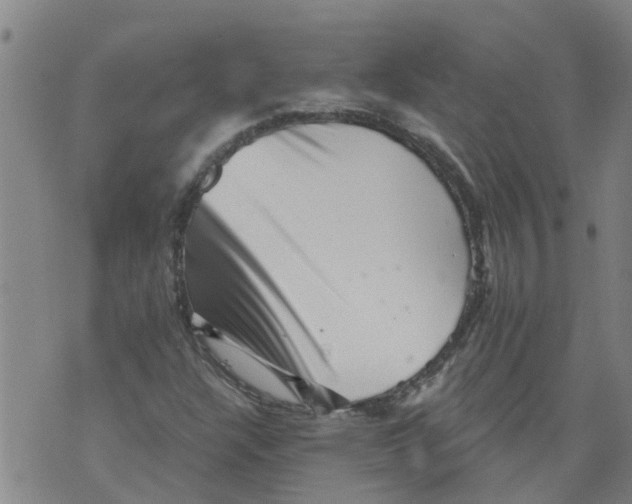 X0000073891304200609082113