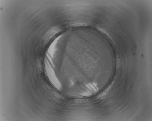 X0000073891305200609082113