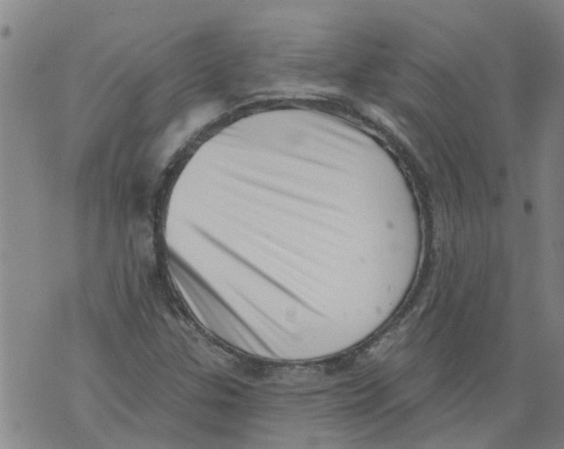 X0000073891307200609082113