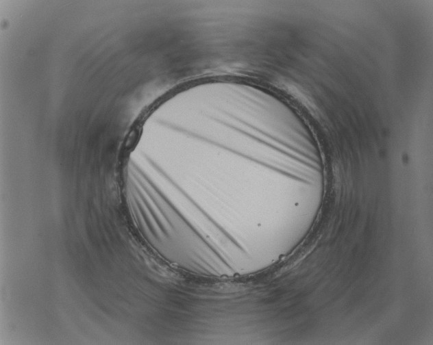 X0000073891308200609082113