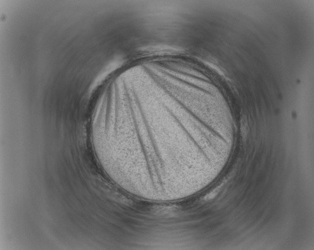 X0000073891309200609082113