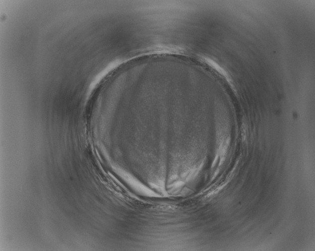 X0000073891310200609082113