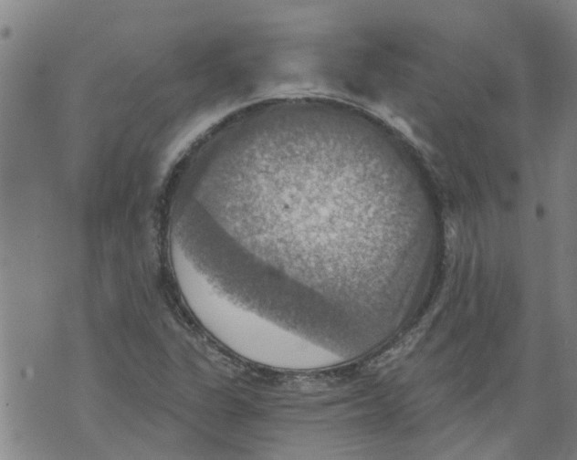 X0000073891311200609082113