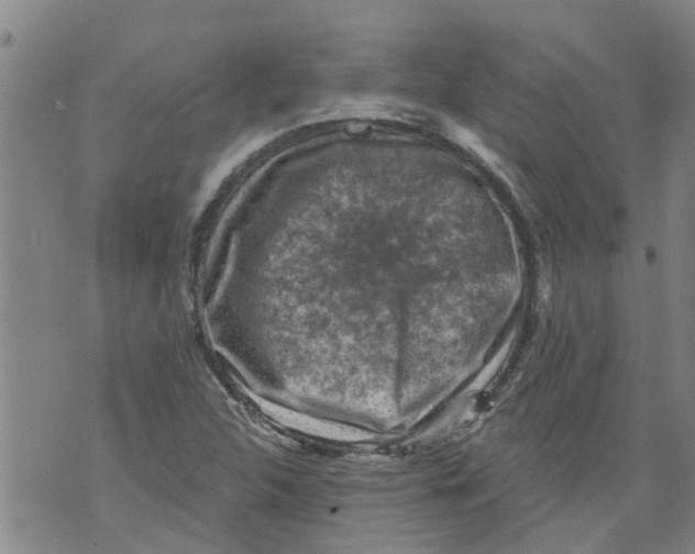 X0000073891312200609082113