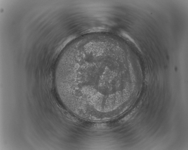 X0000073891313200609082113