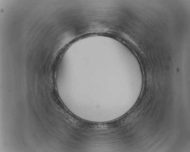 X0000073891315200609082113