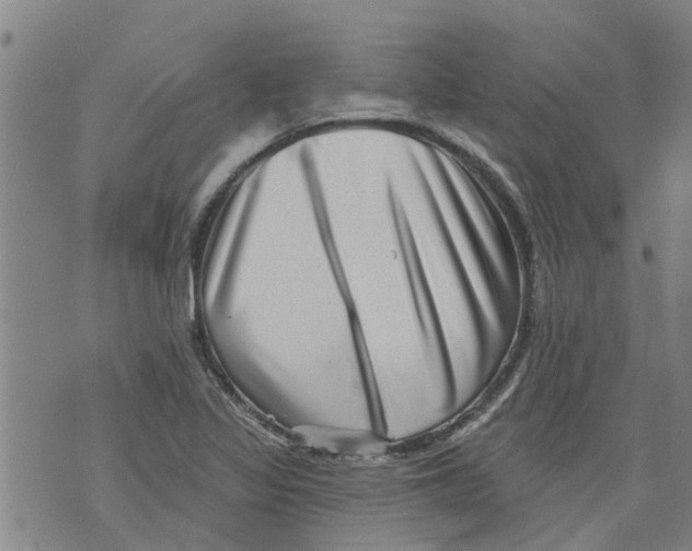 X0000073891317200609082113