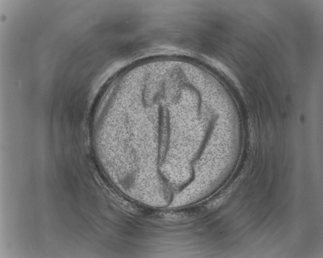 X0000073891318200609082113