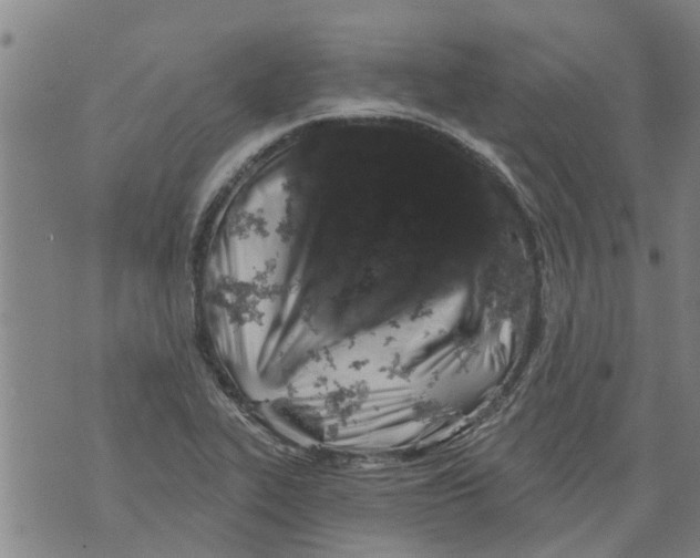 X0000073891319200609082113