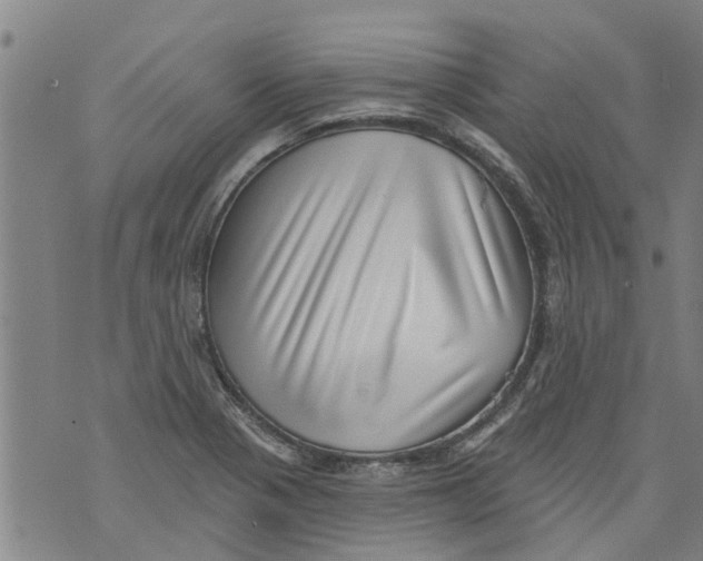 X0000073891321200609082113