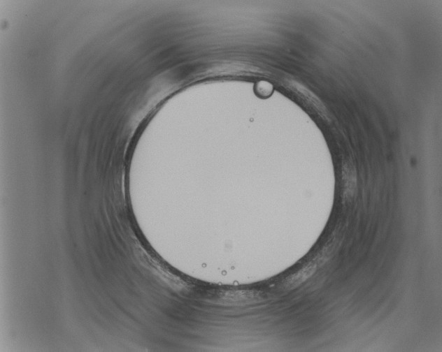 X0000073891322200609082113