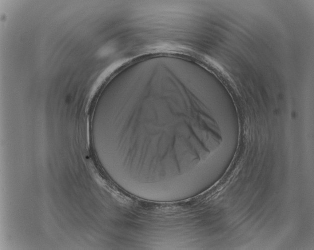 X0000073891323200609082113