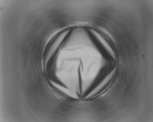 X0000073891324200609082113