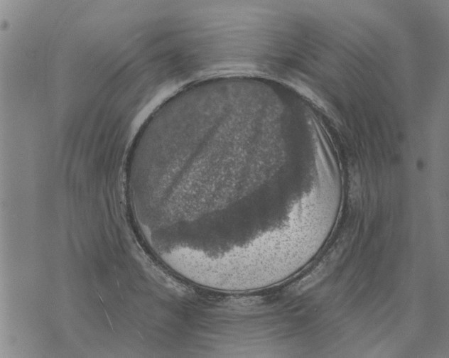 X0000073891325200609082113