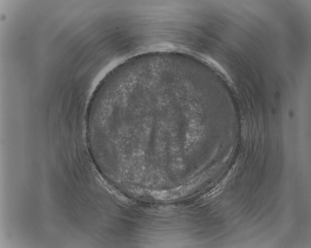 X0000073891326200609082113