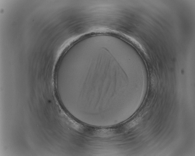 X0000073891327200609082113