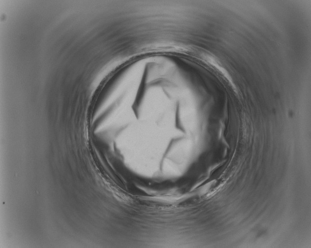 X0000073891328200609082113